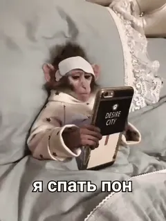 🐒 Я спать пон 猿, 睡眠, ベッド, 電話, 動物 whatsapp sticker