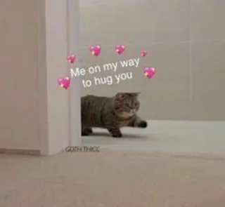 😂 Me on my way to hug you chat, câlin, animal, mignon, coeurs, mème telegram sticker