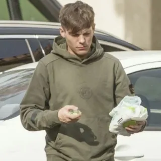 😾 Louis Tomlinson Louis Tomlinson, chanteur, célébrité, One Direction, sweat à capuche telegram sticker