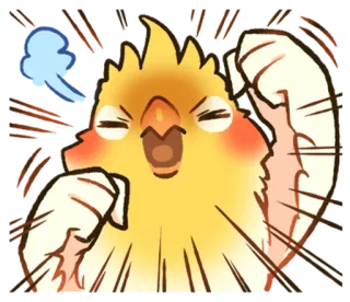 😡 cockatiel, oiseau, en colère, dessin animé, animal, animé whatsapp sticker