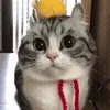🧸