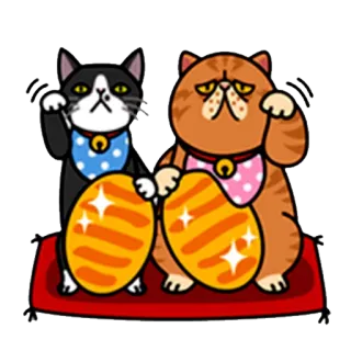 fun cat whatsapp stickers