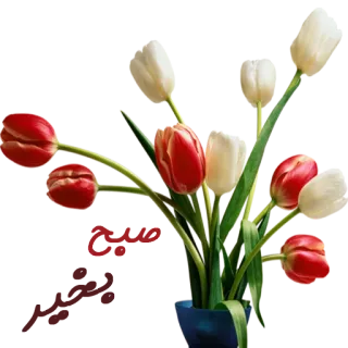 🌷 flores, tulipas, buquê, floral, primavera telegram sticker