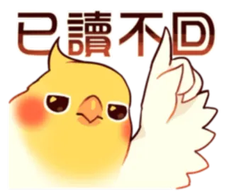 😶 已讀不D นก, นิ้วกลาง, หยาบคาย, สติกเกอร์, การ์ตูน, นกแก้ว telegram sticker