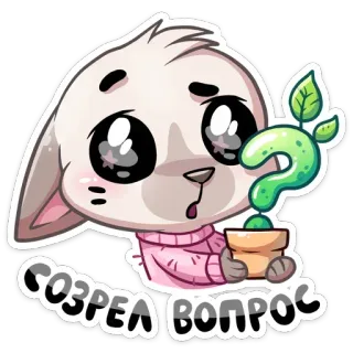 ❓ COЗРЕA BONPOC Hase, Fragezeichen, Pflanze, überrascht, süß, Cartoon whatsapp sticker