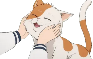 ❤️ gato, animal de estimação, animal, fofo, carinho, gato doméstico, laranja, branco telegram sticker