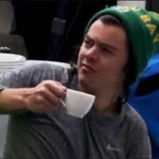 ❓ Harry Styles harry styles, celebrity, tea, person, singer, man, green hat, cup telegram sticker