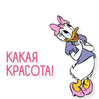 😘 Daisy Duck КАКАЯ КРАСОТА! Kartun, Disney, Daisy Duck, Rusia, Kecantikan, Stiker telegram sticker