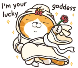 😡 I'm your lucky goddess Katze, Göttin, Glück, Cartoon, Süß, Blume telegram sticker
