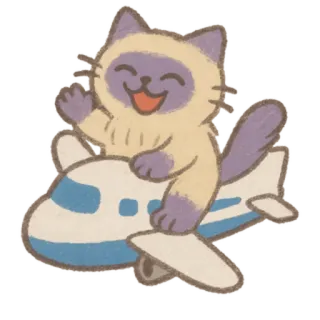🐈‍⬛ chat, avion, animal, volant, mignon whatsapp sticker