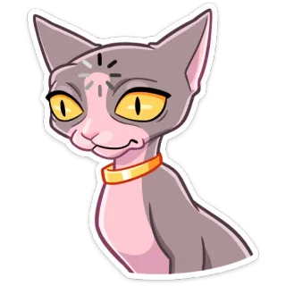 🤔 Katze, Sphynx, Tier, Haustier, Aufkleber, Cartoon, Illustration whatsapp sticker