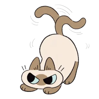 🧐 cat, angry, cartoon, animal, pet, siamese telegram sticker