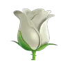 🌹