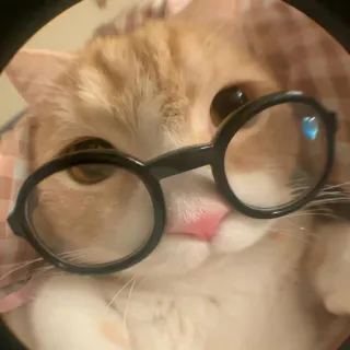 🤓 whatsapp sticker