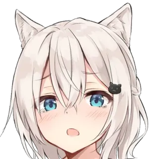😽 アニメ, 可愛い, 猫耳娘, かわいい, マンガ, ステッカー telegram sticker
