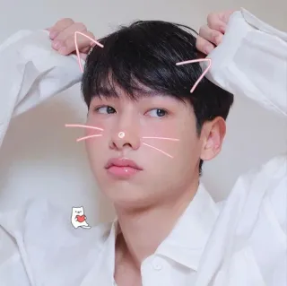 🥑 orejas de gato, filtro, lindo, retrato, hombre, gato telegram sticker