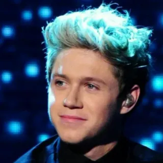 🍕 Niall Horan музыкант, певец, One Direction, поп-звезда telegram sticker