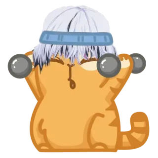 💪 고양이, 아령, 운동, 피트니스, 만화, 귀여운, 웃긴 telegram sticker