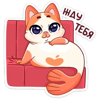 ⏳ жду тебя kucing, menunggu, imut, kartun, hewan, ikan telegram sticker