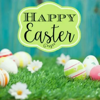 🥚 HAPPY
Easter easter, eggs, spring, holiday, celebration telegram sticker