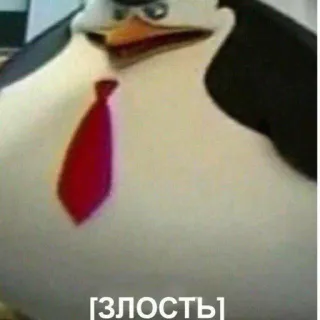 😡 ЗЛОСТЬ pingouin, cravate rouge, colère, fureur, chef, mème telegram sticker