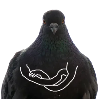 Pigeons with hands telegram stickers