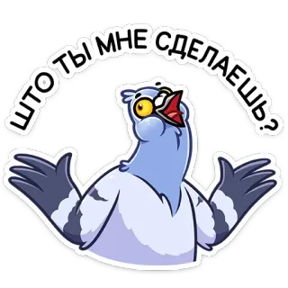 🙃 ЧТО ТЫ МНЕ СДЕЛАЕШЬ? paloma, pájaro, pregunta, ruso, pegatina telegram sticker