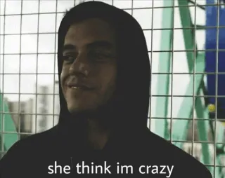😂 she think im crazy meme, crazy, hoodie, portrait, text, quote telegram sticker