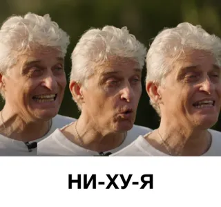 👎 НИ-ХУ-Я русский мат, сленг, нецензурная лексика telegram sticker