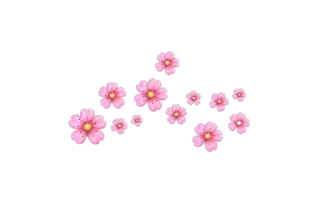 🌸 Blume, Sakura, Kirschblüte, rosa Blumen, Frühling, Natur telegram sticker