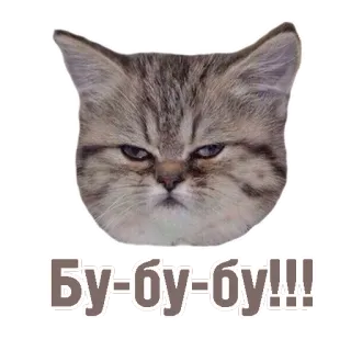 😐 Бу-бу-бу!!! gatto, scontroso, arrabbiato, russo, meme telegram sticker