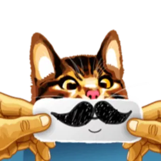 😶 кот, усы, животное, смешной, милый, стикер whatsapp sticker