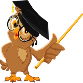 🎓 นกฮูก, ครู, รับปริญญา, ฉลาด, การศึกษา, นก, การ์ตูน telegram sticker