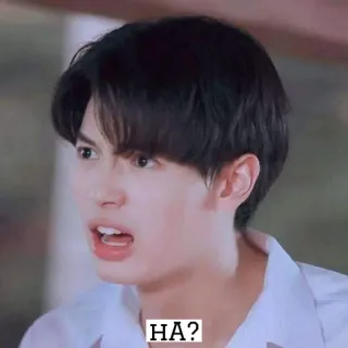 ❓ HA? confus, question, asiatique, garçon telegram sticker