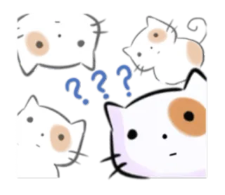 🙄 chat, animal, autocollant, point d'interrogation, penser, mignon telegram sticker