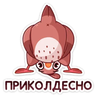 🤩 ПРИКОЛДЕСНО bird, funny, cute, sticker, cartoon telegram sticker