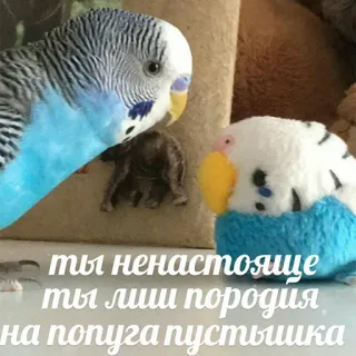 🤖 ты ненастоящее
ты лишь пародия
на попуга пустшка vogel, papegaai, speelgoed, schattig, parodie telegram sticker