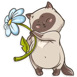 ☺️ gato, flor, lindo, animal telegram sticker