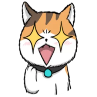 ✨ кот, блестящие глаза, взволнованный, животное, милый, стикер telegram sticker