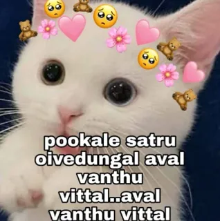 😂 pookale satru oivedungal aval vanthu vittal..aval vanthu vittal gato, fofo, corações, ursos de pelúcia, flores, triste, kawaii, Pookale Satru, Oivedungal Aval, Vanthu Vittal telegram sticker
