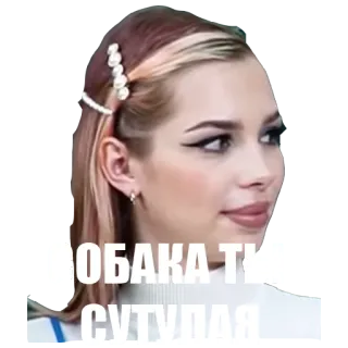 😑 СОБАКА ТЫ СУТУЛАЯ dziewczyna, kobieta, mem, rosyjski, obelga whatsapp sticker