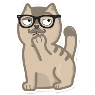 🤔 kat, denken, bril, snor, sticker, schattig, dier telegram sticker