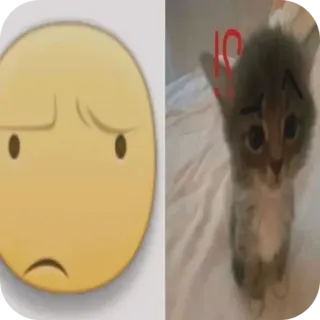 🐱 js Biểu tượng cảm xúc, Mèo, Mèo con, Buồn, Khuôn mặt telegram sticker