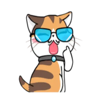 😝 кот, солнцезащитные очки, средний палец, оскорбительный, мультик telegram sticker
