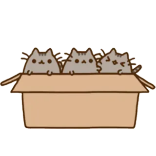 🐈 Pusheen 猫, ネコ, 箱, 動物, かわいい, 漫画 telegram sticker