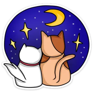 🌠 кошки, луна, звезды, ночь, милые, животные, дружба, каваи whatsapp sticker