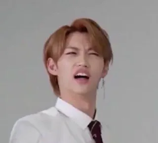 🤨 wyraz, twarz, kpop, piosenkarz, idol telegram sticker