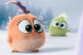 🧚‍♂️ Angry Birds, цыпленок, мультфильм, птица, милый, анимированный telegram sticker