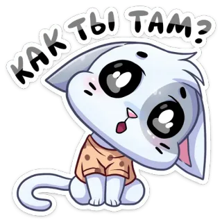 😏 КАК ТЫ ТАМ? kat, schattig, sticker, kawaii, vraag, cartoon telegram sticker