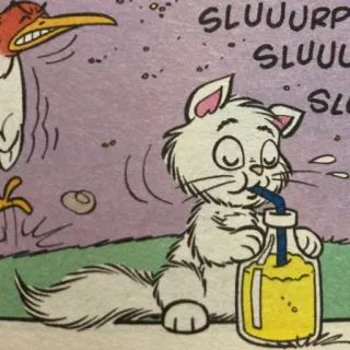 😺 SLUUURP kucing, kartun, binatang, minum, minuman telegram sticker